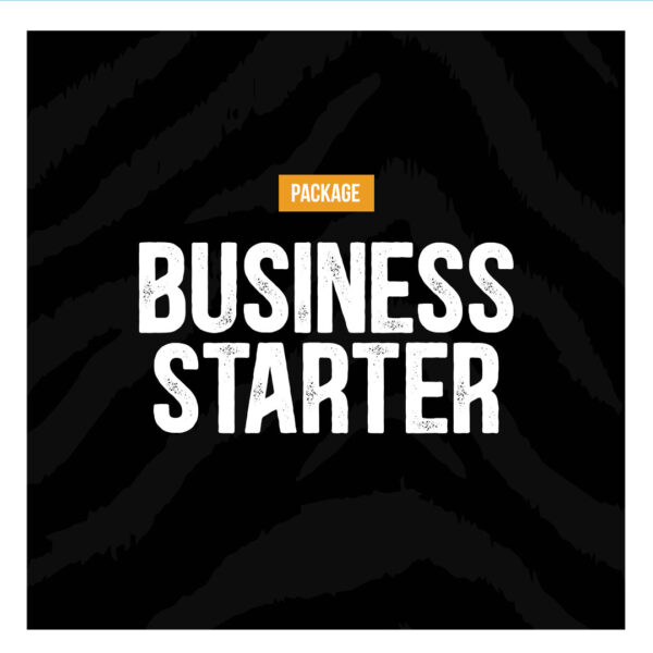 Package Business Starter